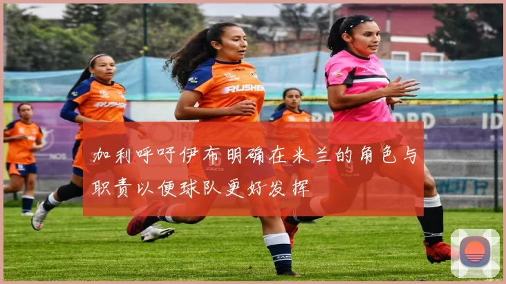 加利呼吁伊布明确在米兰的角色与职责以便球队更好发挥