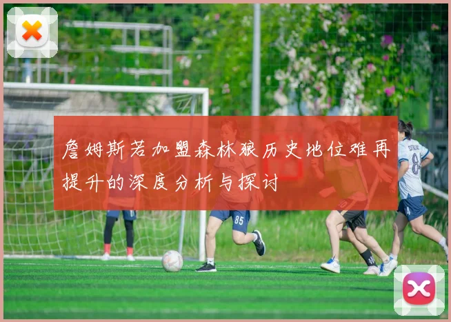 詹姆斯若加盟森林狼历史地位难再提升的深度分析与探讨